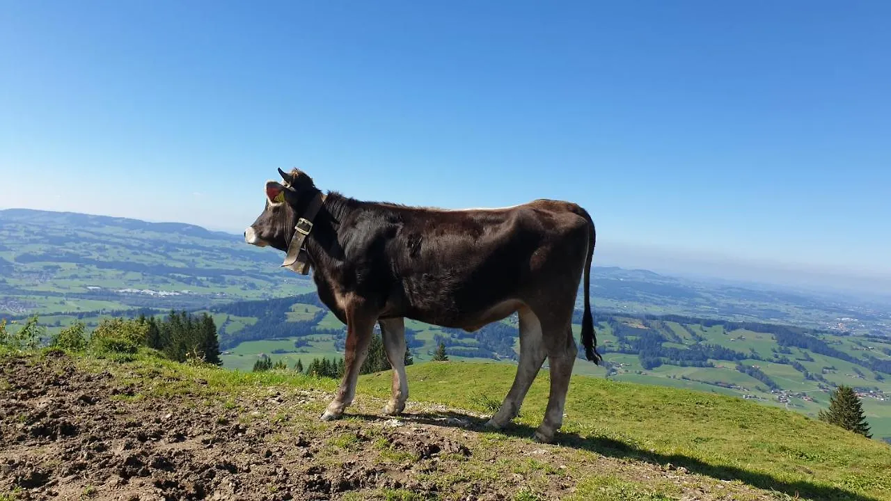 Allgaeu Bergluft Weitnau
